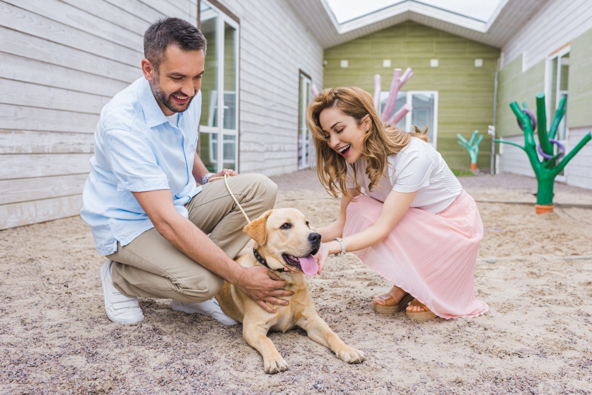 smiling-couple-palming-labrador-dog-at-animals-shelter-and-choosing-for-adoption