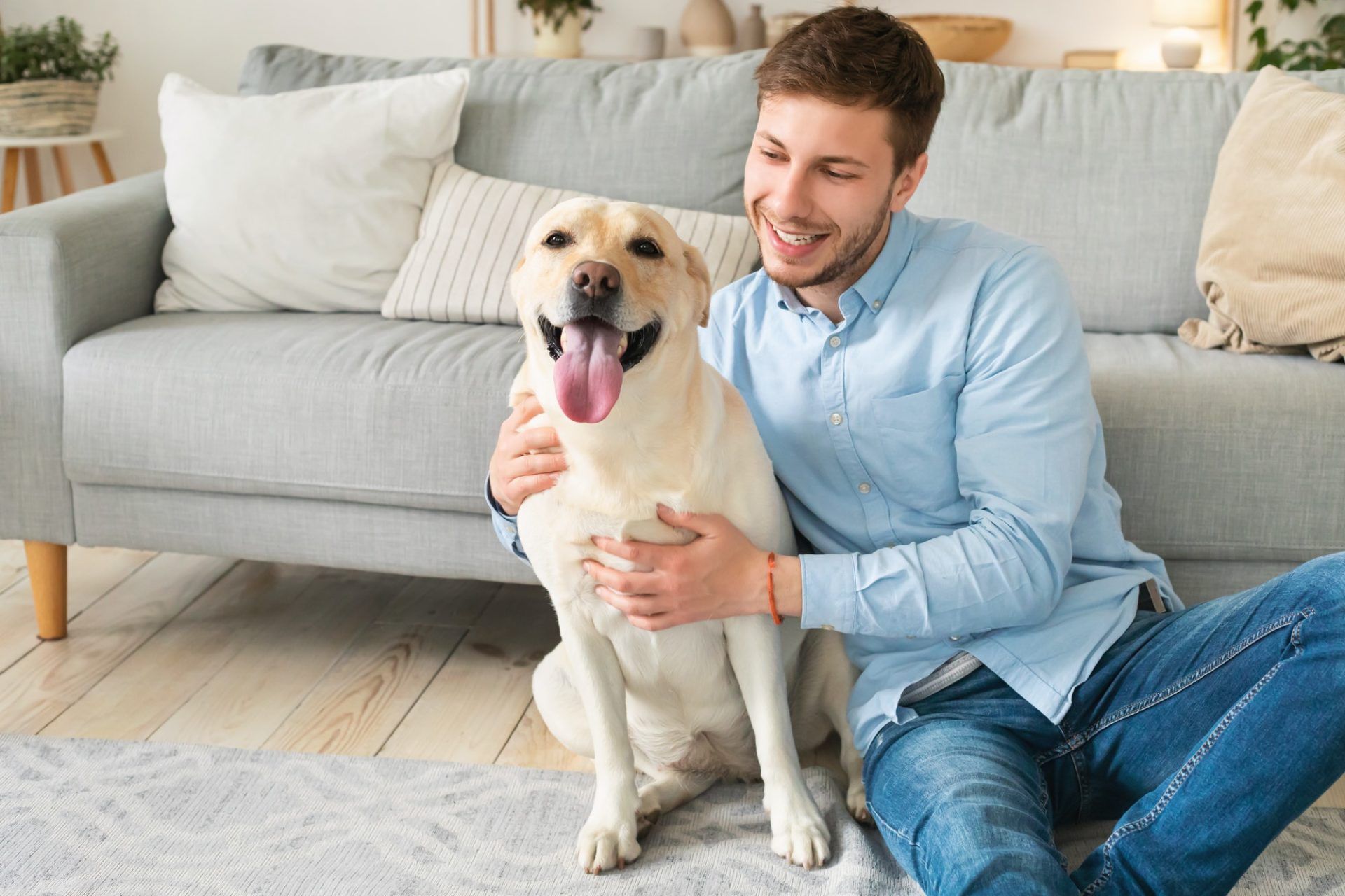 young-happy-man-hugging-dog-sitting-on-floor